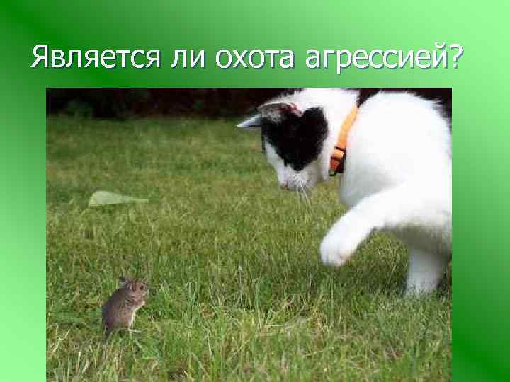 Является ли охота агрессией? 