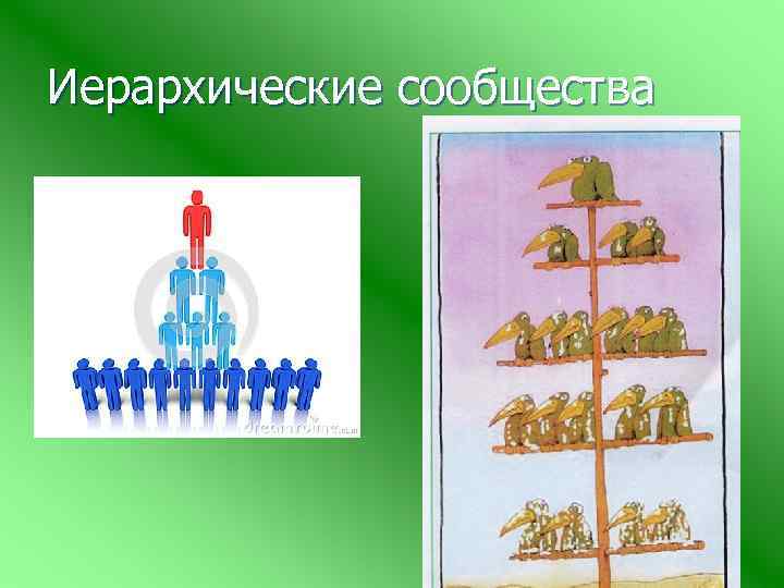 Иерархические сообщества 