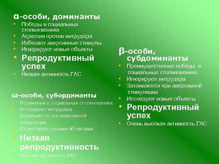 α-особи, доминанты • Победы в социальных • • • столкновениях Агрессия против интрудера Избегают