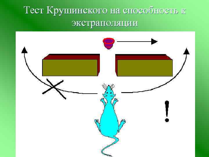 Тест Крушинского на способность к экстраполяции 
