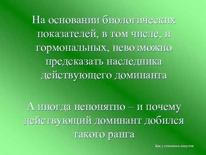 На основании биологических показателей, в том числе, и гормональных, невозможно предсказать наследника действующего доминанта