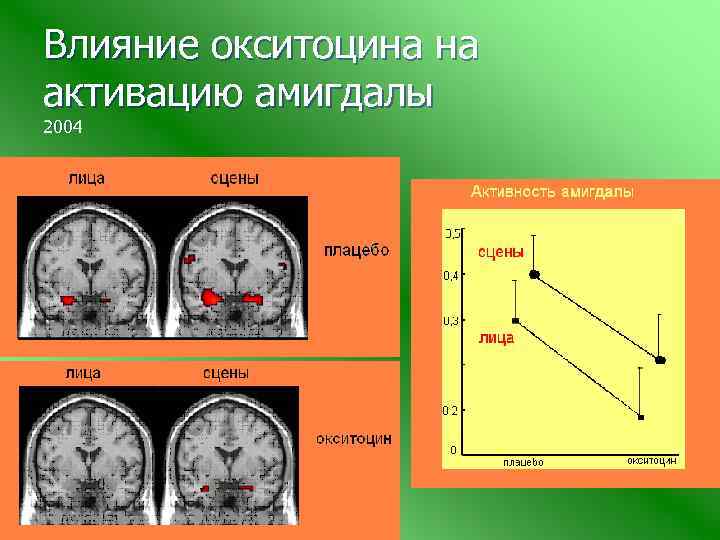 Влияние окситоцина на активацию амигдалы 2004 