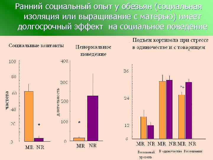 Ранний социальный опыт у обезьян (социальная изоляция или выращивание с матерью) имеет долгосрочный эффект