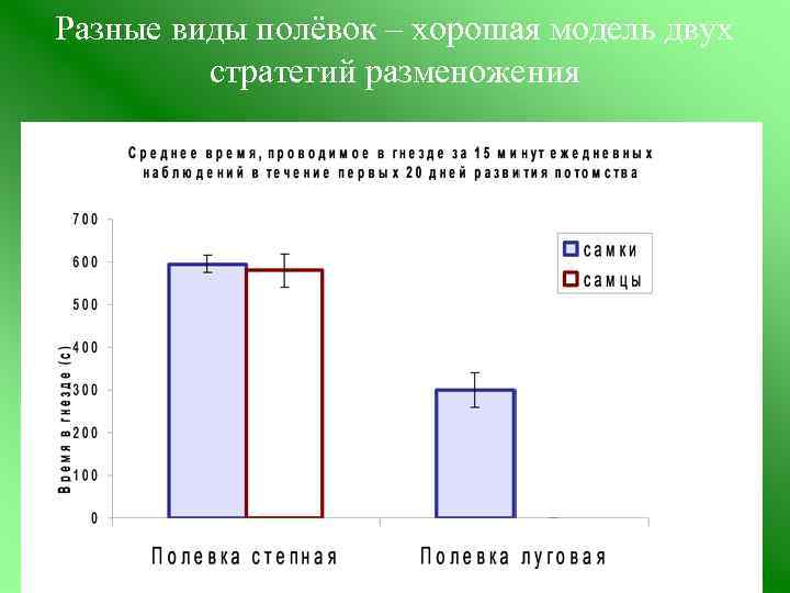 Разные виды полёвок – хорошая модель двух стратегий разменожения 