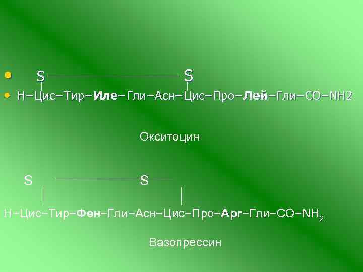  • S • Н−Цис−Тир−Иле−Гли−Асн−Цис−Про−Лей−Гли−СО−NH 2 Окситоцин S S Н−Цис−Тир−Фен−Гли−Асн−Цис−Про−Арг−Гли−СО−NH 2 Вазопрессин 