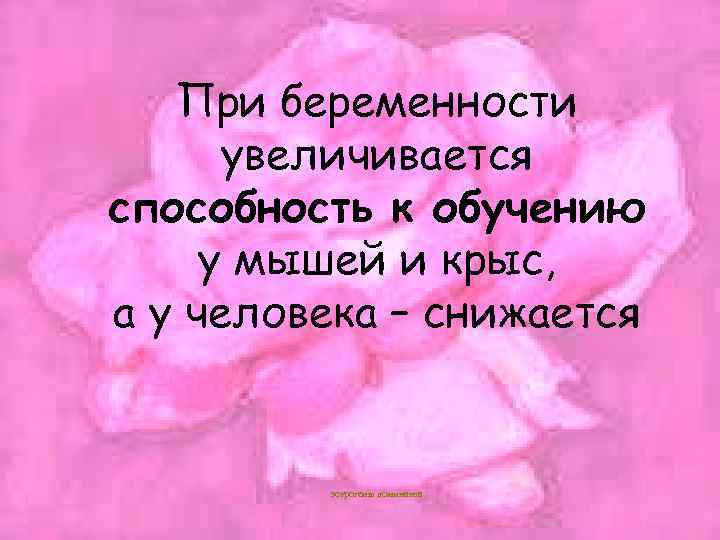 При беременности увеличивается способность к обучению у мышей и крыс, а у человека –