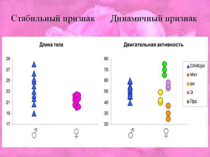 Стабильный признак Динамичный признак 