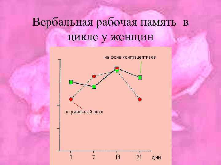 Вербальная рабочая память в цикле у женщин 