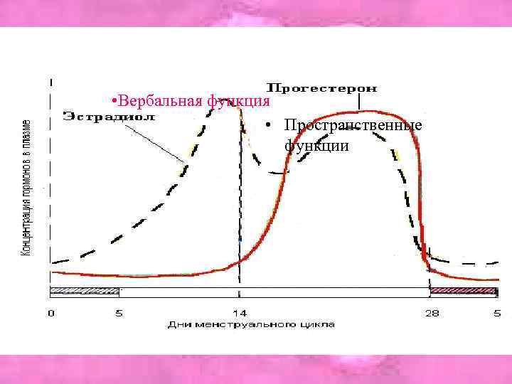  • Вербальная функция • Пространственные функции 