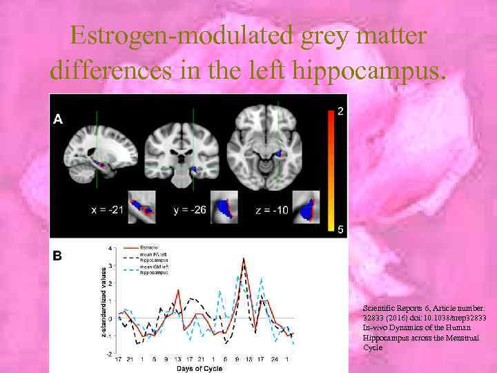 Estrogen-modulated grey matter differences in the left hippocampus. Scientific Reports 6, Article number: 32833