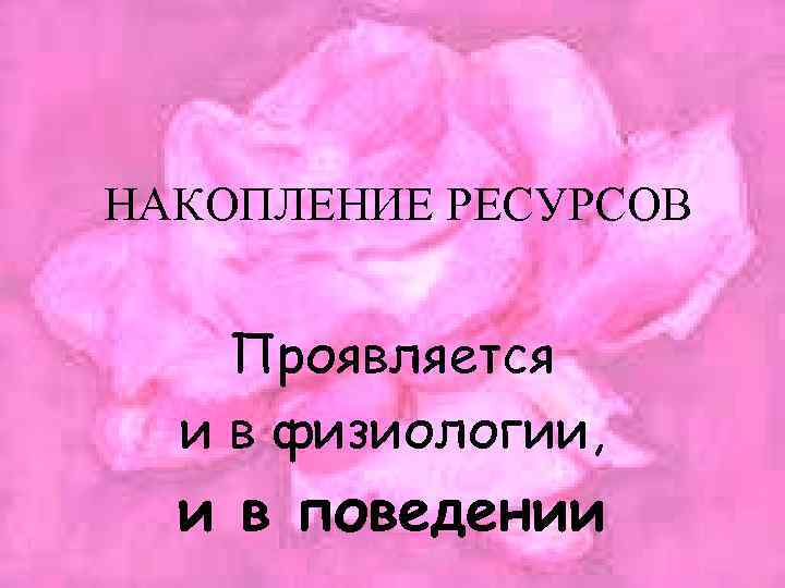  НАКОПЛЕНИЕ РЕСУРСОВ Проявляется и в физиологии, и в поведении 