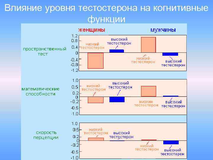 Влияние уровня тестостерона на когнитивные функции 