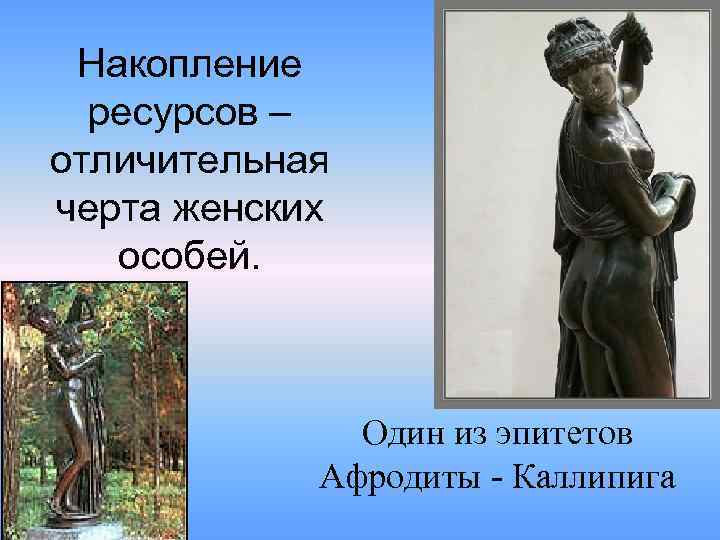 Накопление ресурсов – отличительная черта женских особей. Один из эпитетов Афродиты - Каллипига 