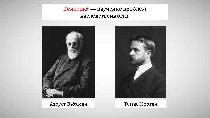 Генетика — изучение проблем наследственности. Август Вейсман Томас Морган 