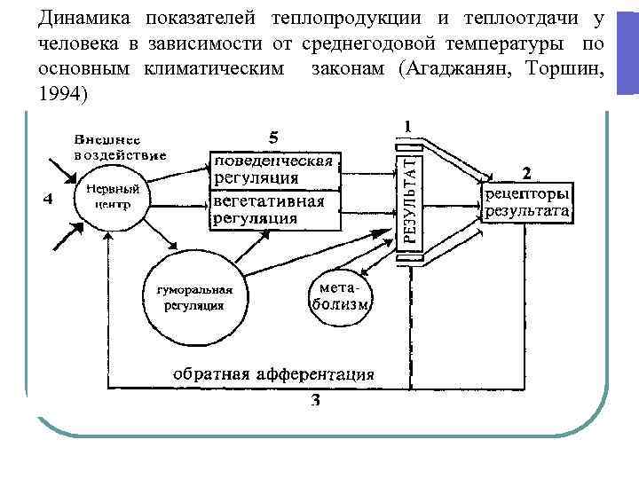 Динамика показателей теплопродукции и теплоотдачи у человека в зависимости от среднегодовой температуры по основным