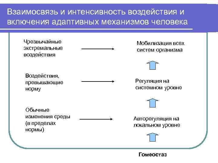 Влияние среды на организм. Адаптивные механизмы организма. Адаптивные механизмы приспособления. Адаптивный механизм человека. Адаптивные приспособления человеческого организма.