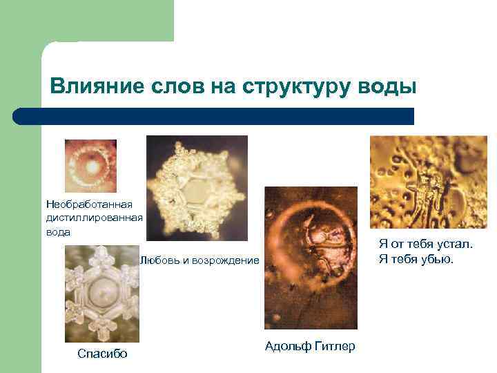 Влияние слов на структуру воды Необработанная дистиллированная вода Я от тебя устал. Я тебя