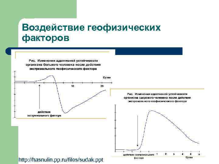 Воздействие геофизических факторов http: //hasnulin. pp. ru/files/sudak. ppt 
