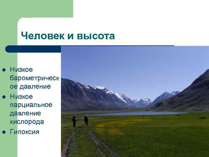 Человек и высота l l l Низкое барометрическ ое давление Низкое парциальное давление кислорода