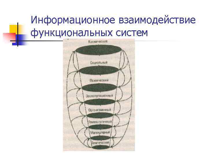 Информационное взаимодействие функциональных систем 
