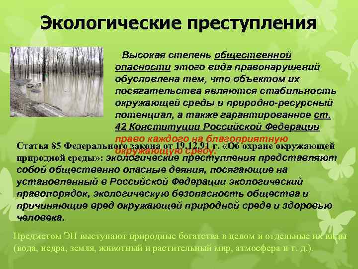 Экологические преступления Высокая степень общественной опасности этого вида правонарушений обусловлена тем, что объектом их
