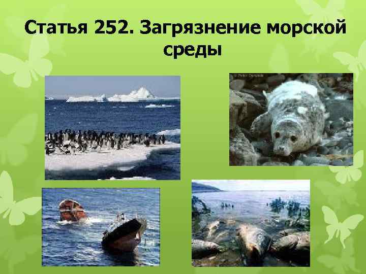 Статья 252. Загрязнение морской среды 