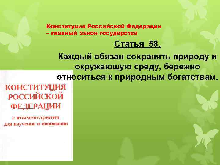 Конституция Российской Федерации – главный закон государства Статья 58. Каждый обязан сохранять природу и