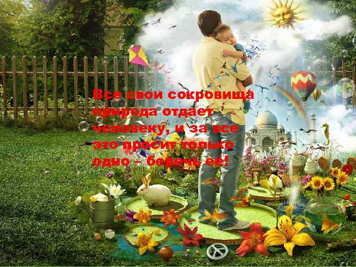 Все свои сокровища природа отдает человеку, и за все это просит только одно –