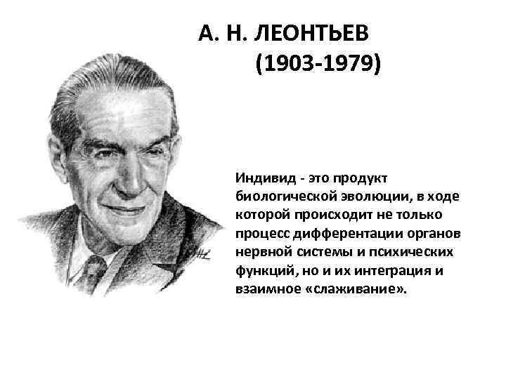 А. Н. ЛЕОНТЬЕВ (1903 -1979) Индивид - это продукт биологической эволюции, в ходе которой
