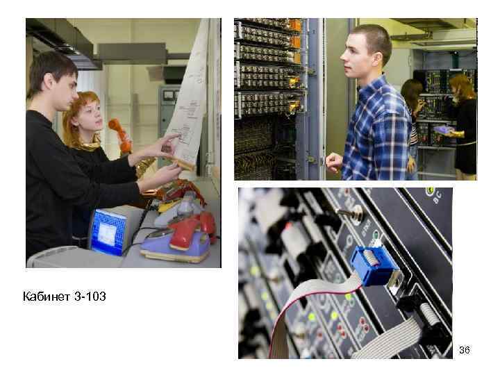 Кабинет 3 -103 36 