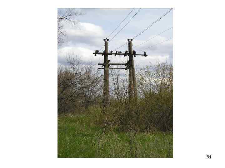 81 