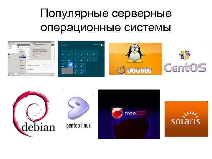 Популярные серверные операционные системы 