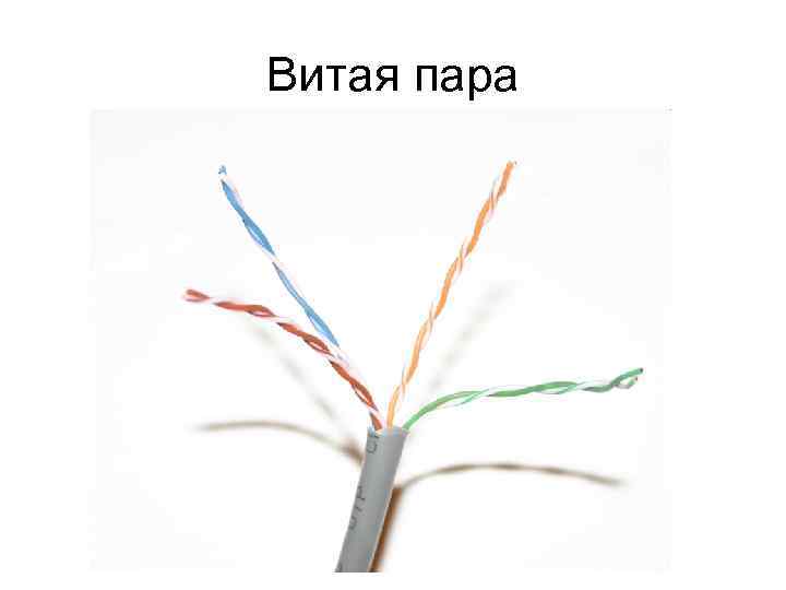 Витая пара 