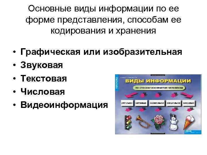 Сведения независимо от формы их представления. Формы представления, хранения и способы кодирования информации. Основные виды информации по форме представления. Виды информации по способу хранения. Виды информации по способу кодирования.