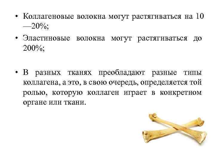  • Коллагеновые волокна могут растягиваться на 10 — 20%; • Эластиновые волокна могут