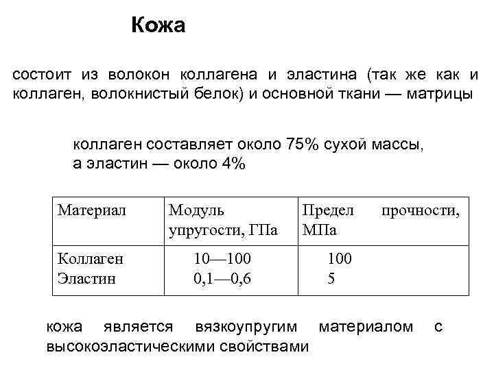 Кожа состоит из волокон коллагена и эластина (так же как и коллаген, волокнистый белок)