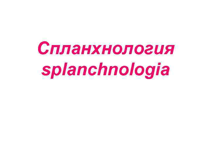 Спланхнология splanchnologia 