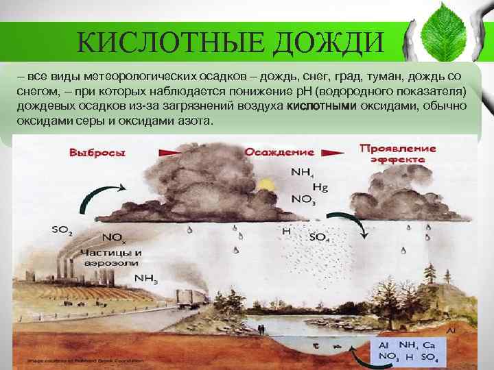 КИСЛОТНЫЕ ДОЖДИ — все виды метеорологических осадков — дождь, снег, град, туман, дождь со