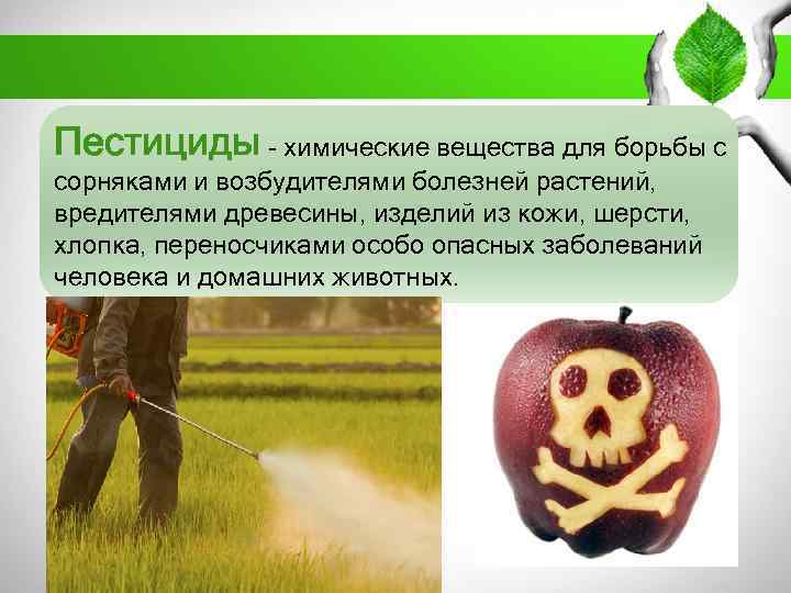 Пестициды - химические вещества для борьбы с сорняками и возбудителями болезней растений, вредителями древесины,