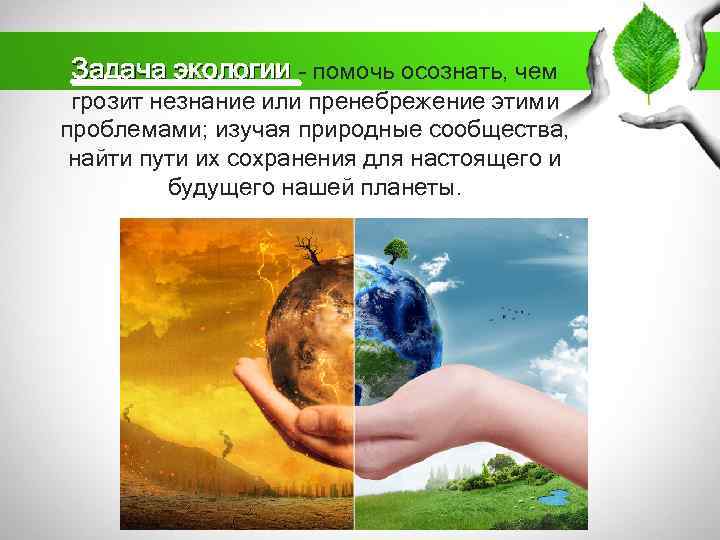 Задача экологии – помочь осознать, чем грозит незнание или пренебрежение этими проблемами; изучая природные