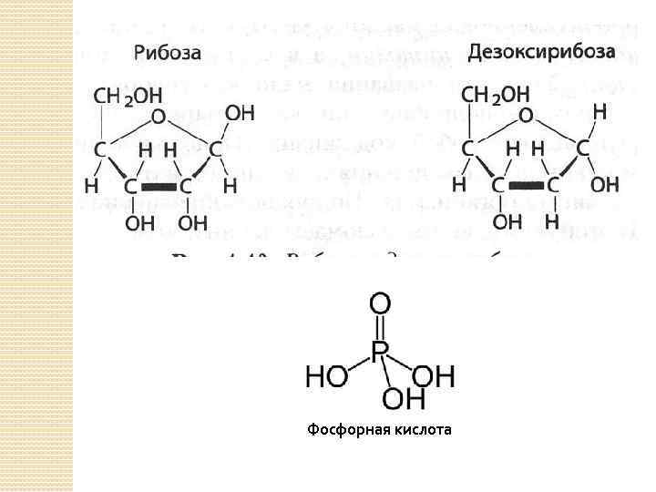 Фосфорная кислота 