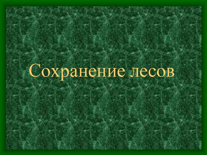 Сохранение лесов 