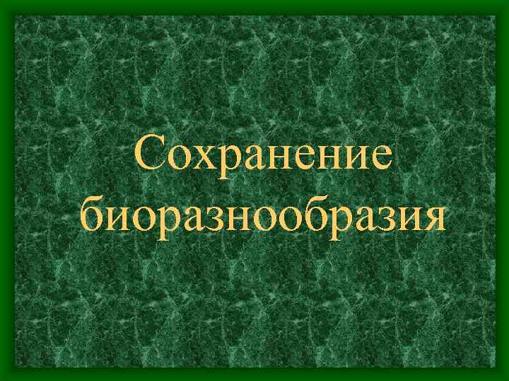 Сохранение биоразнообразия 