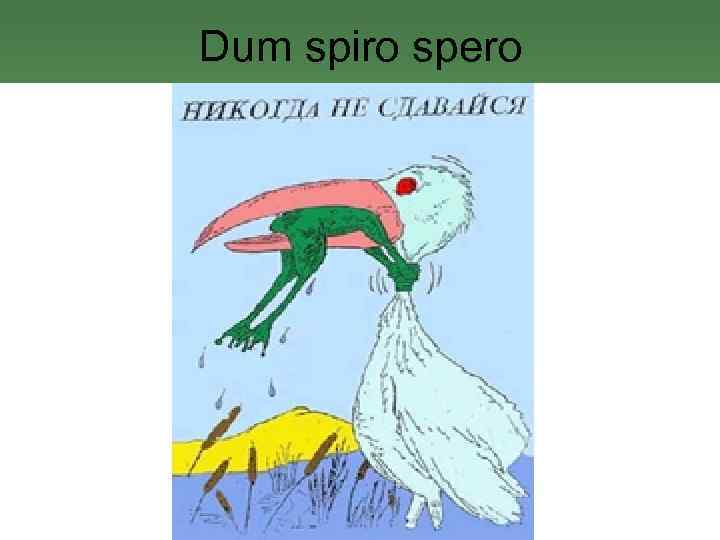 Dum spiro spero 