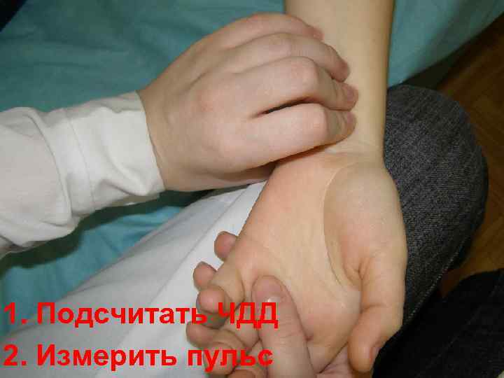 11. Подсчитать ЧДД 12. Измерить пульс 