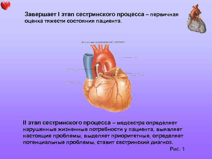 Завершает I этап сестринского процесса – первичная оценка тяжести состояния пациента. II этап сестринского