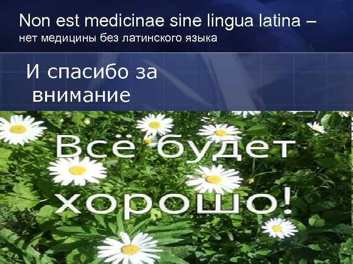 Non est medicinae sine lingua latina – нет медицины без латинского языка И спасибо