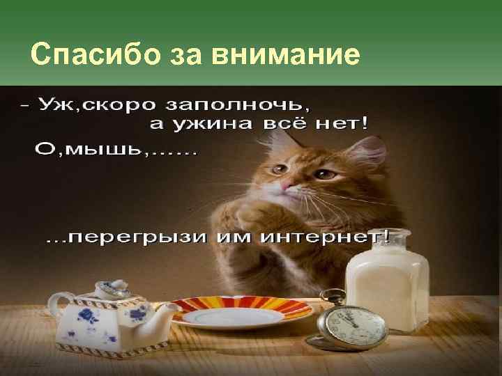 Спасибо за внимание 