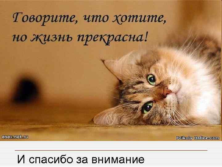 И спасибо за внимание 