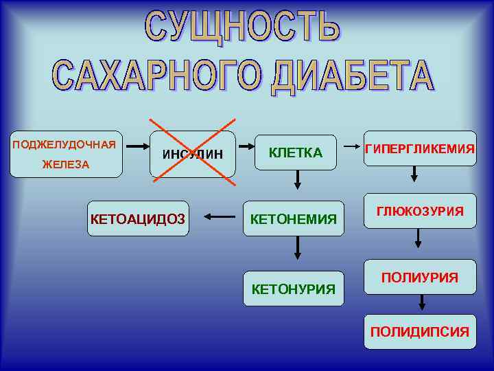 ПОДЖЕЛУДОЧНАЯ ЖЕЛЕЗА ИНСУЛИН КЕТОАЦИДОЗ КЛЕТКА КЕТОНЕМИЯ КЕТОНУРИЯ ГИПЕРГЛИКЕМИЯ ГЛЮКОЗУРИЯ ПОЛИДИПСИЯ 